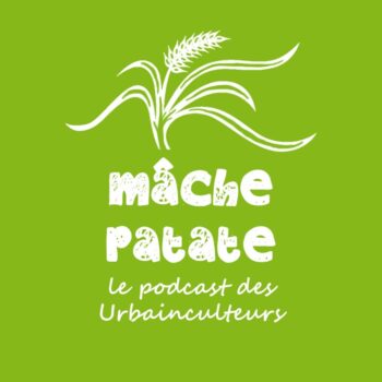Mache-patate